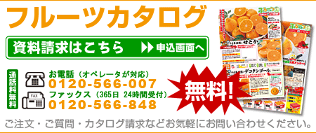 �t���[�c�J�^���O����
