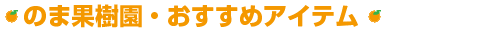 �̂܉ʎ����E�������߃A�C�e��